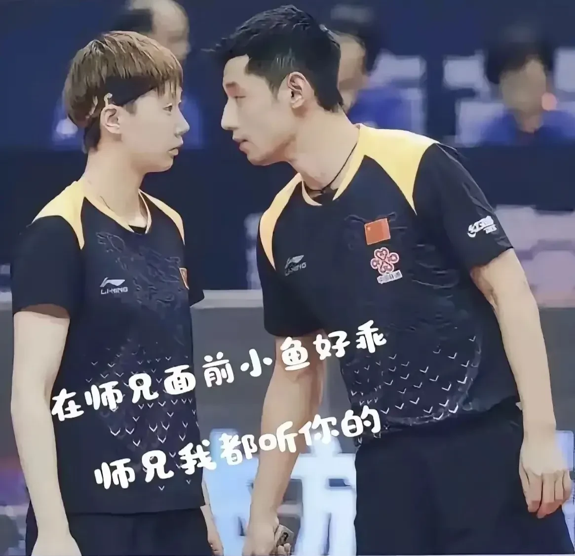 中国队横扫韩国队，张继科刷新纪录