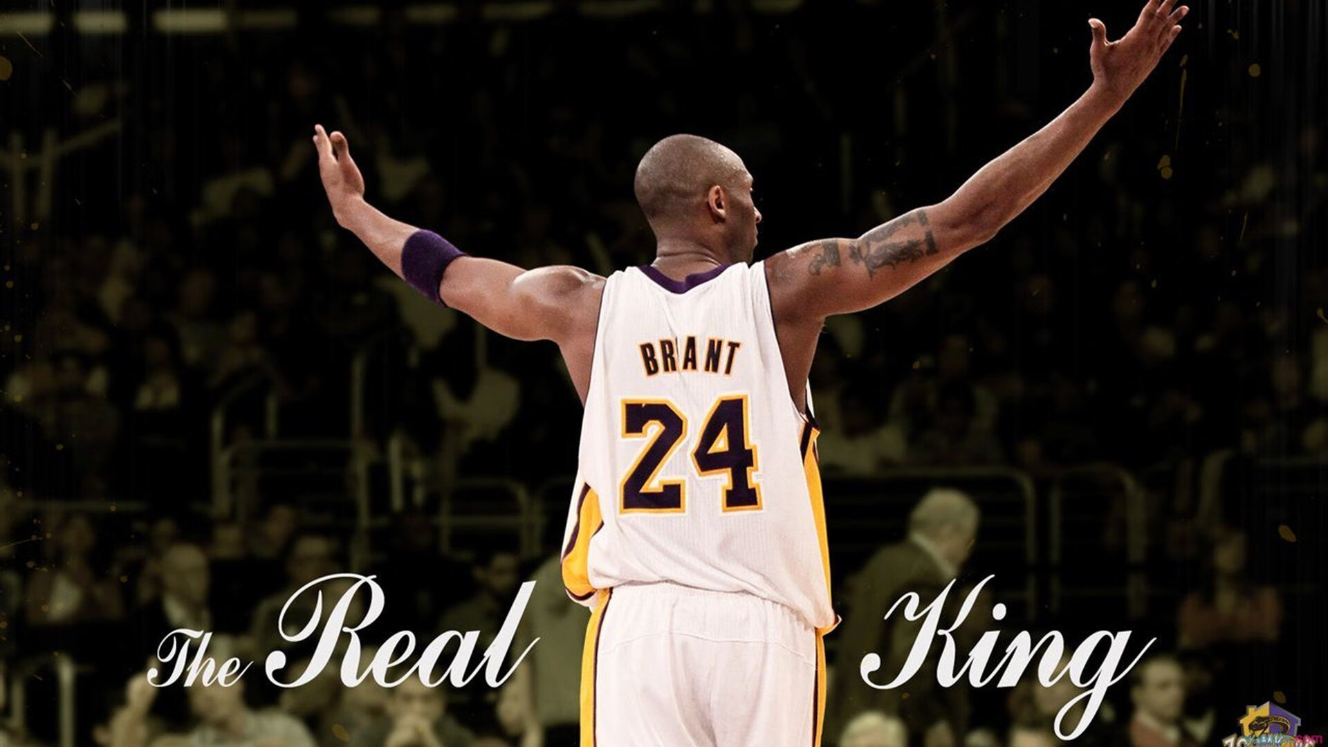 拉亚的救赎之战，阿尔及利亚如何强行终结澳大利亚的世界杯梦想