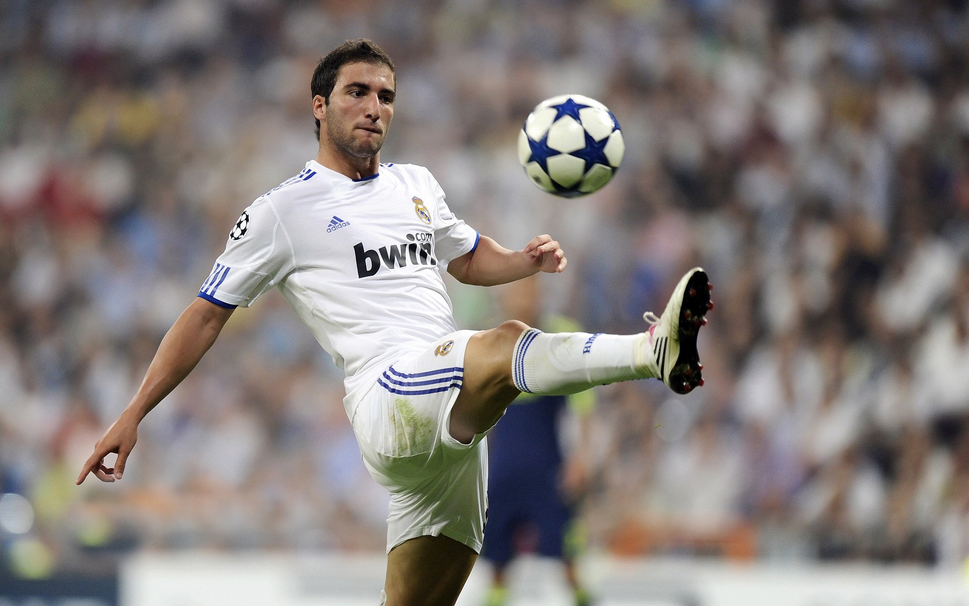 跨界突围，从深圳到密尔沃基，从金州到世界杯—体育精神的全球交响